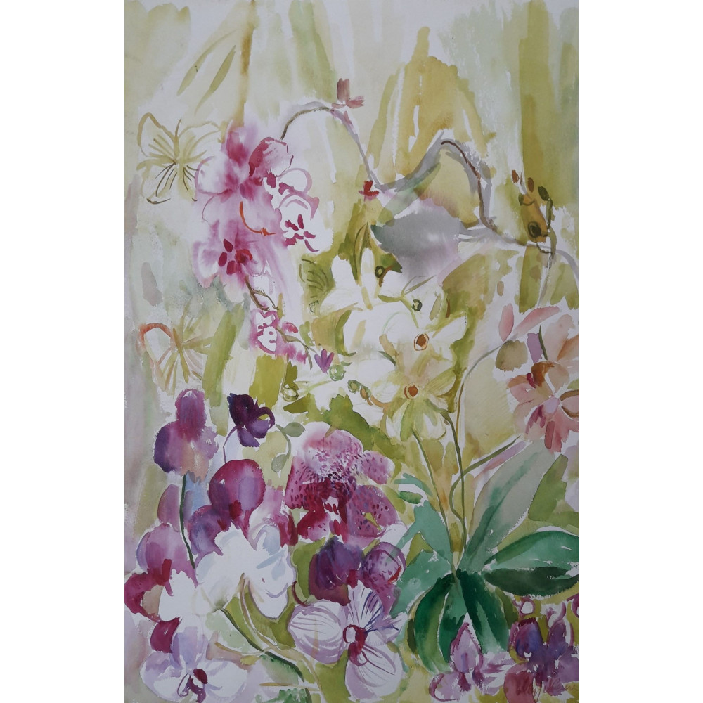 Storczyki Majewska-Keane Maja