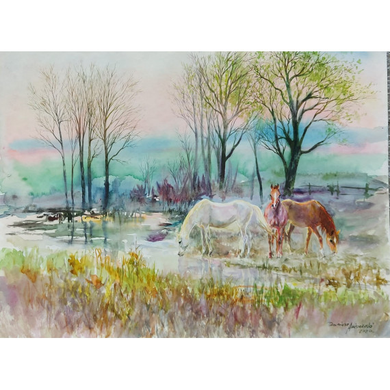 Konie Wiosną 3 Aniszewski Dariusz