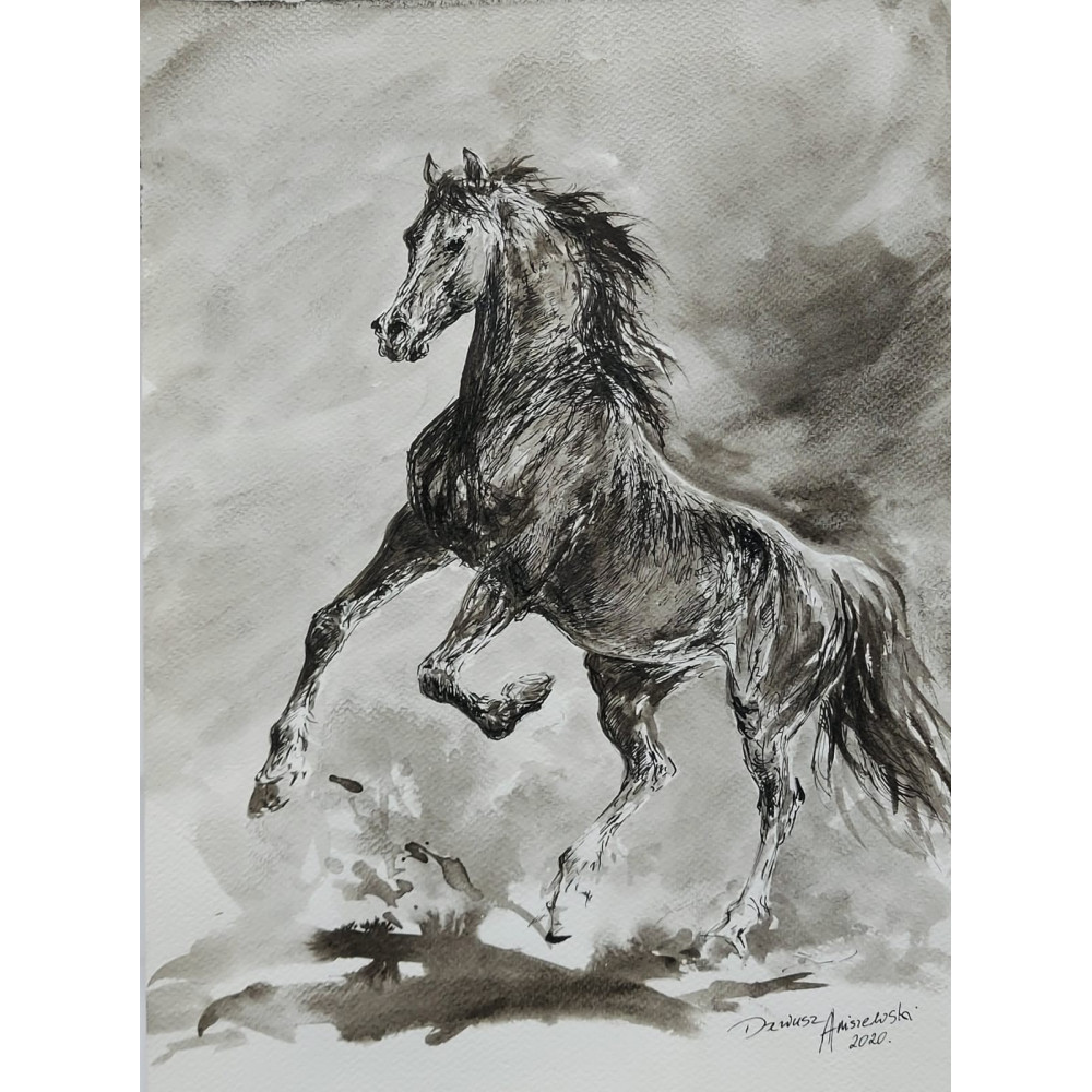 Konie 1 Aniszewski Dariusz