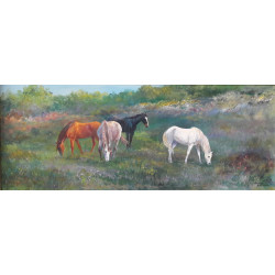 Konie Aniszewski Dariusz