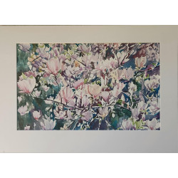 Magnolie – akwarela Artura Belczykowskiego | Obraz kwiatów do wnętrz