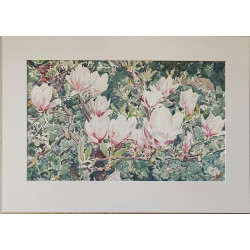Akwarela „Magnolie” II - Artur Belczykowski