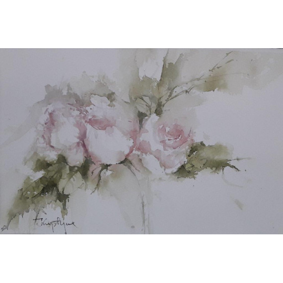 Róże bladoróżowe Lubański Krystyna