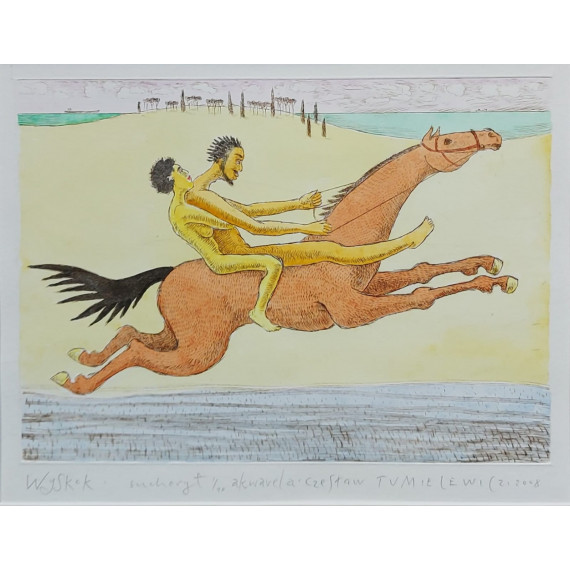 Wyskok 30cmx40cm Tumielewicz Czesław