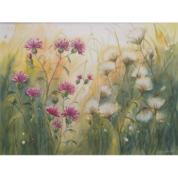 KOLORY ŁĄKI (2022) 40cmx50cm Niewinowska Bożenna